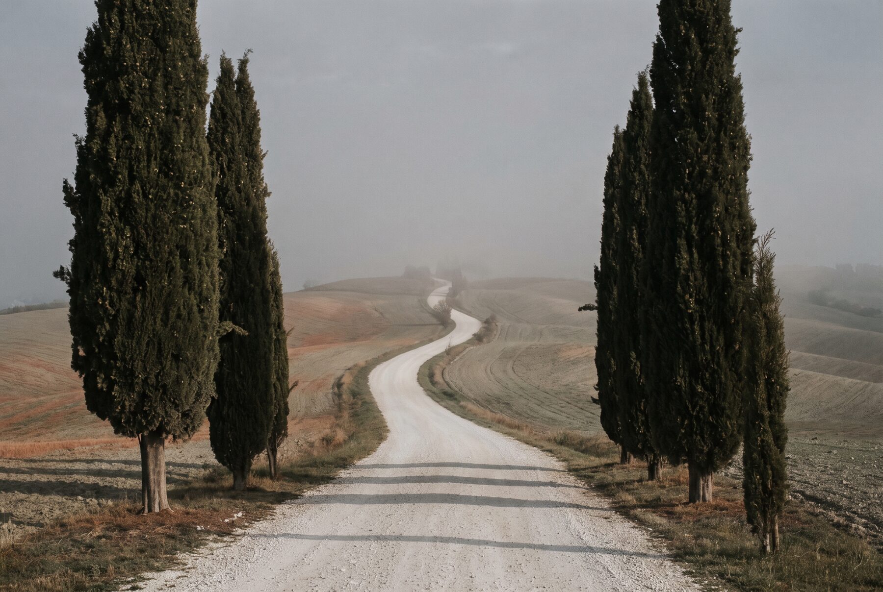 Estrada de cascalho subindo uma colina toscana entre ciprestes, sumindo na neblina da manhã.
