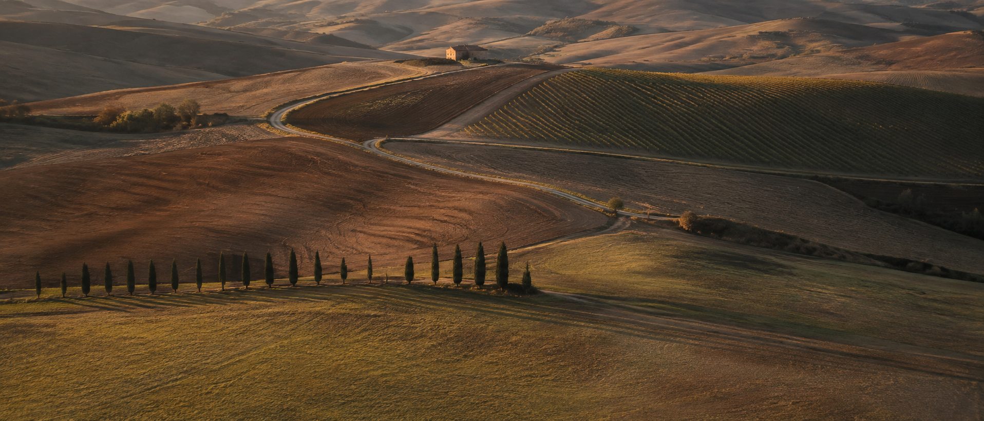 Vista aérea das colinas do Val d'Orcia ao entardecer, com uma estrada curvando entre campos arados e uma fileira de ciprestes.